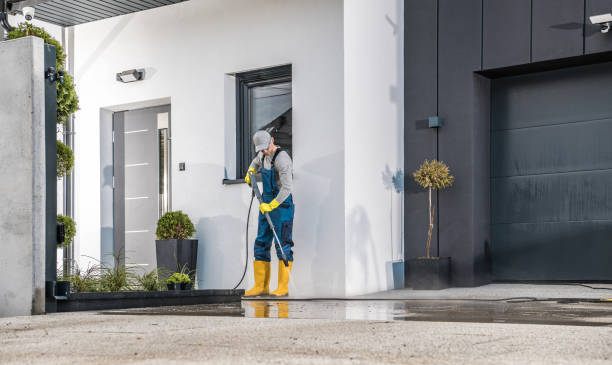 Best Gutter Cleaning  in Wimauma, FL